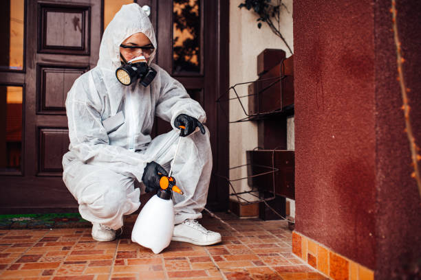Reliable Wasp Removal contractor in Pumpkin Center, NC by Show Me Pest Control